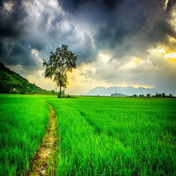 Farm landscape image