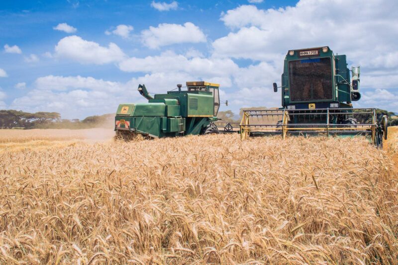 Narok County farmland